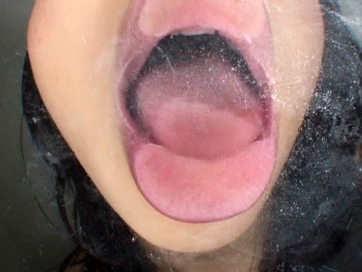 サンプル画像 15