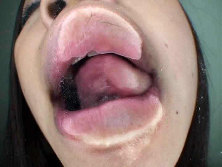 サンプル画像 13