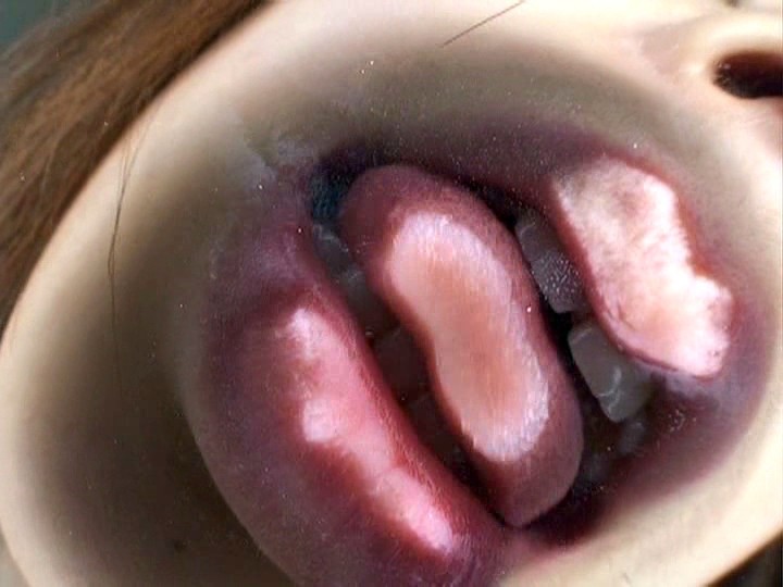 サンプル画像 4