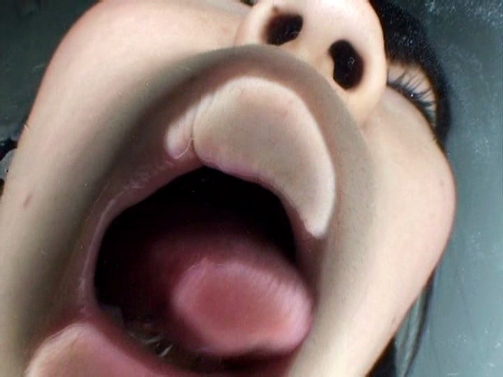 サンプル画像 10