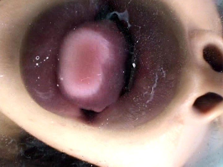 サンプル画像 12