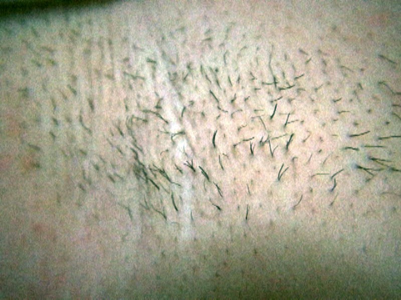 サンプル画像 18