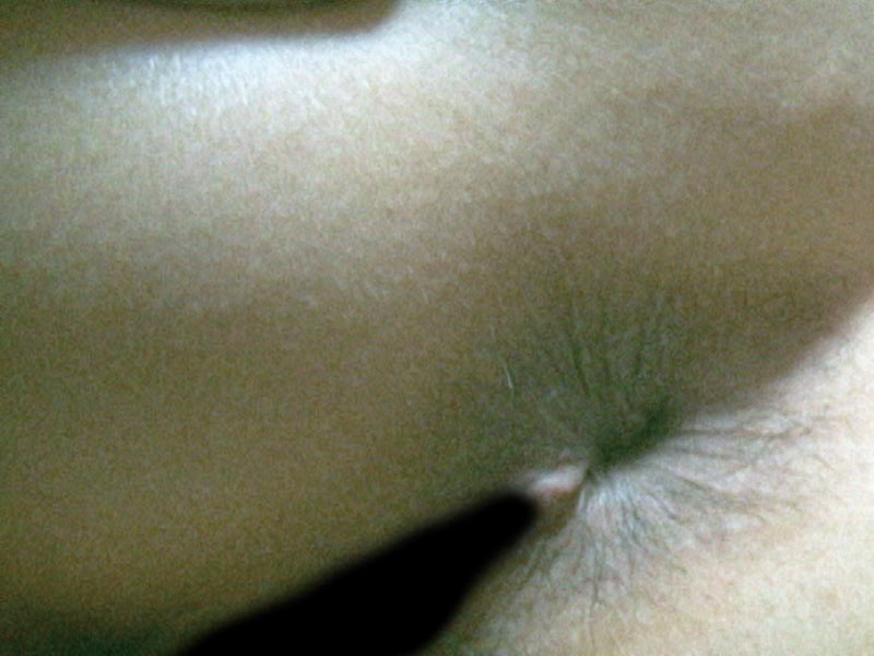 サンプル画像 15