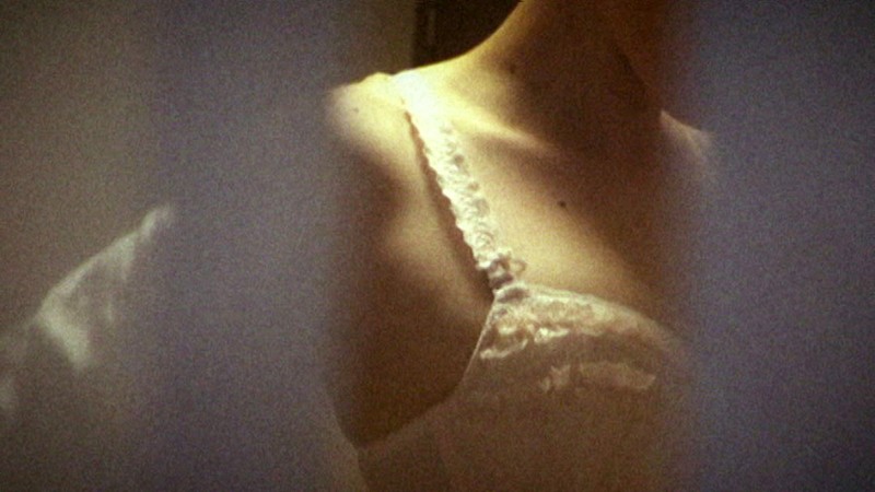 サンプル画像 17