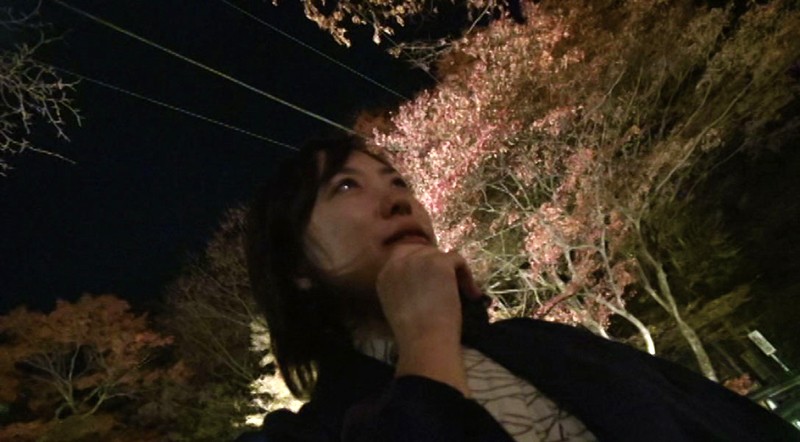 サンプル画像 13