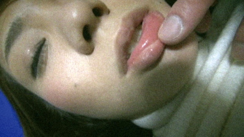 サンプル画像 17