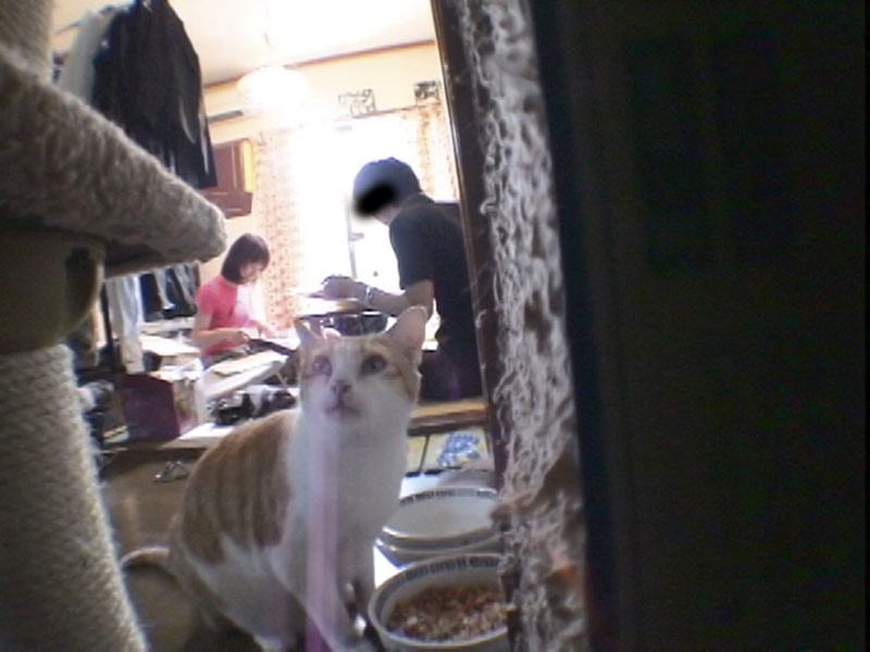 サンプル画像 4