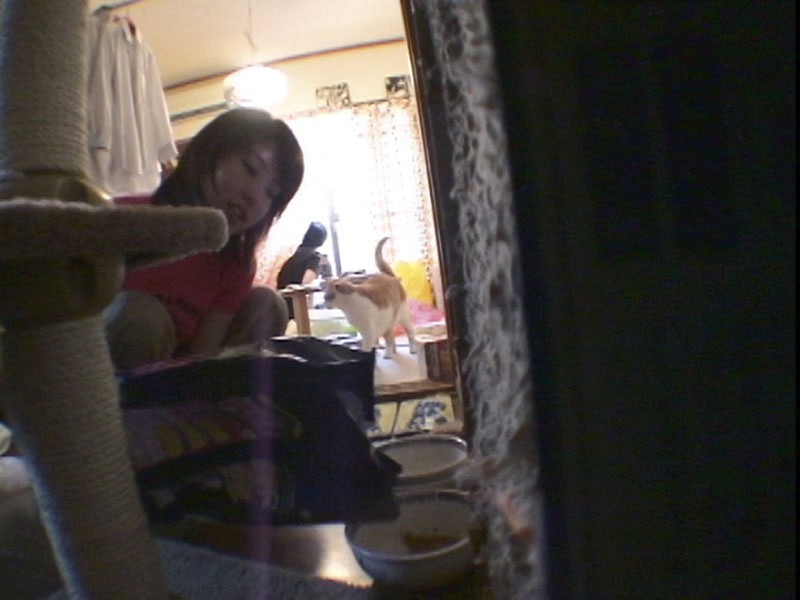 サンプル画像 7