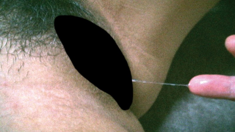 サンプル画像 21