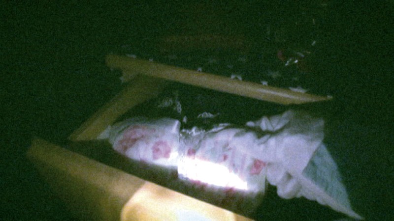 サンプル画像 20