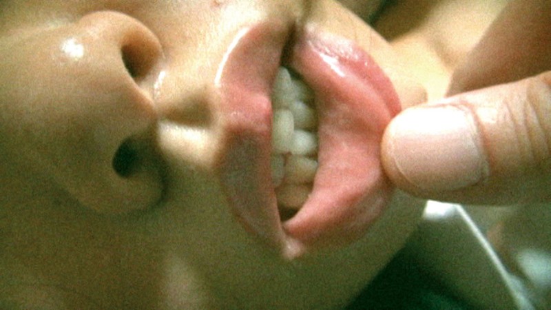 サンプル画像 21