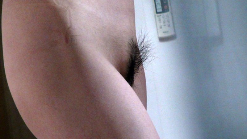 サンプル画像 9