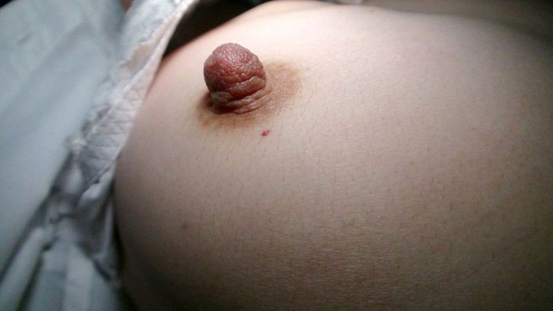 サンプル画像 7