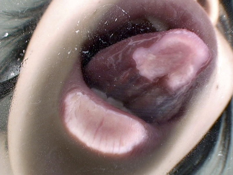 サンプル画像 12