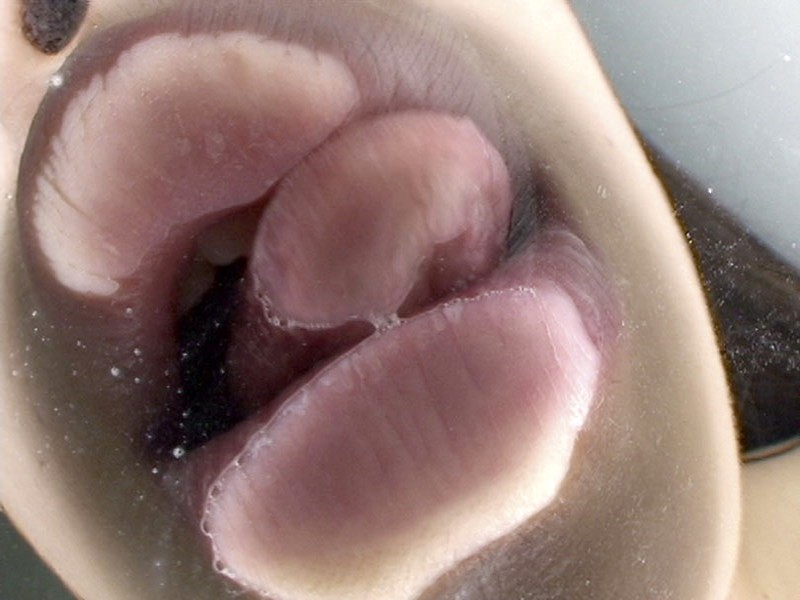 サンプル画像 6