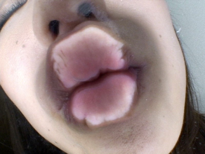 サンプル画像 8