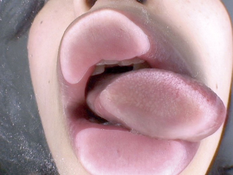 サンプル画像 13