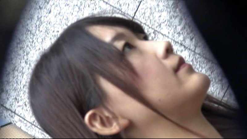 サンプル画像 6