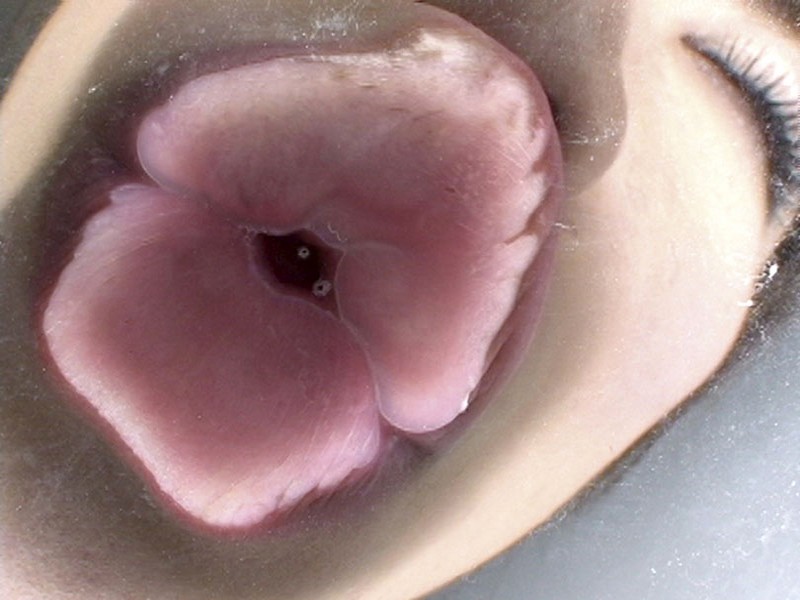 サンプル画像 5