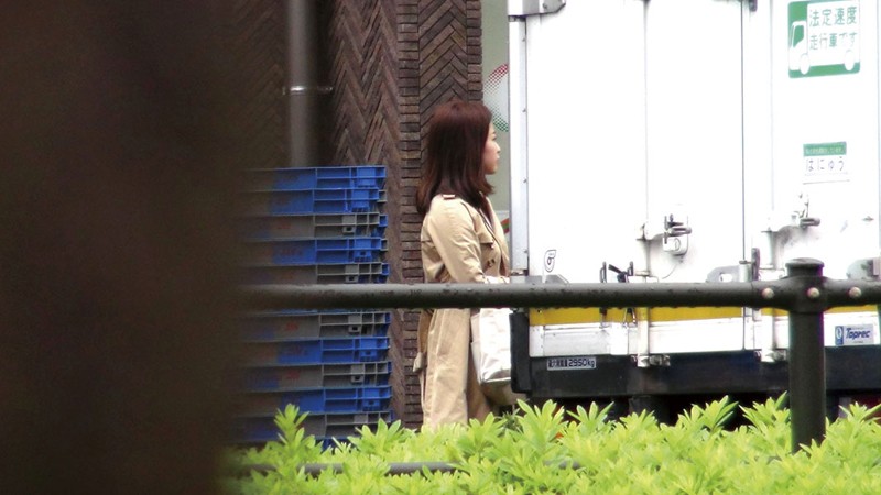 サンプル画像 13