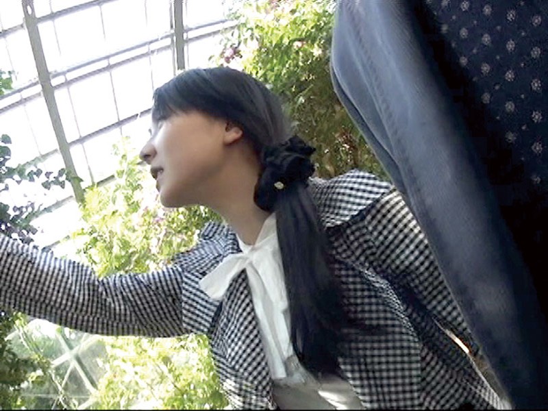 サンプル画像 18