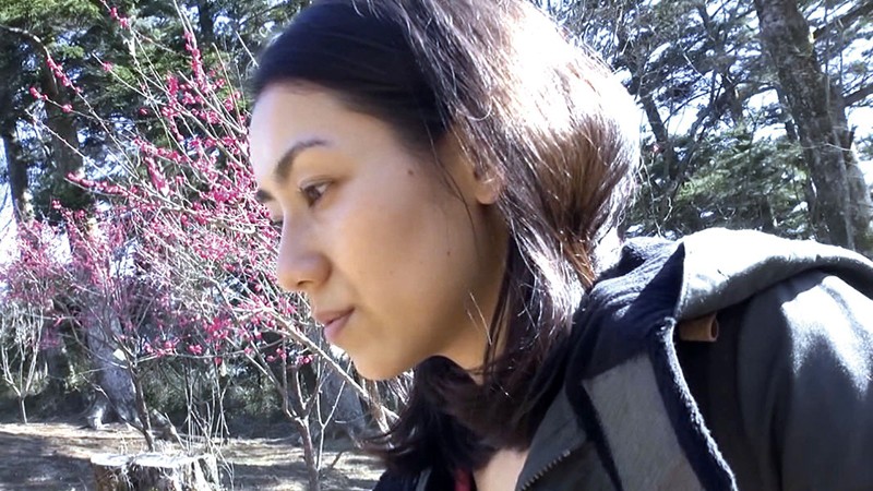 サンプル画像 13