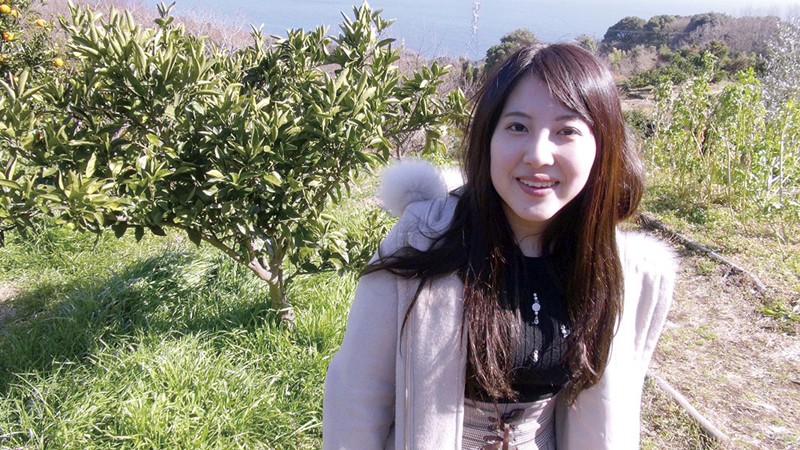 サンプル画像 4