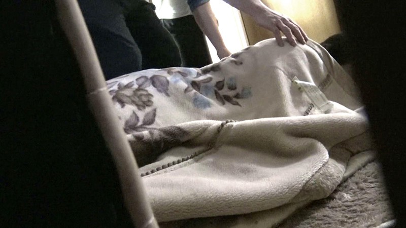 サンプル画像 5