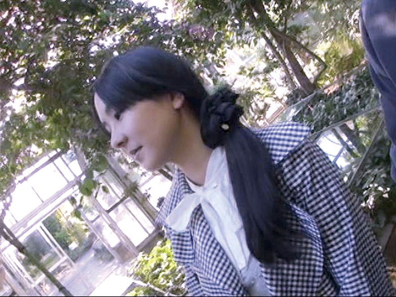 サンプル画像 9