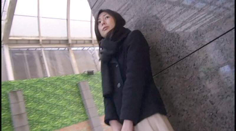 サンプル画像 14