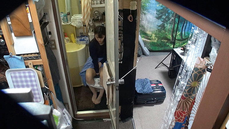 サンプル画像 2