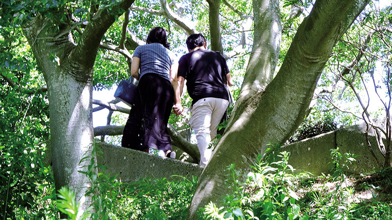 サンプル画像 3