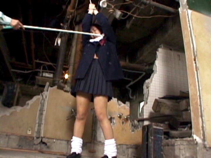 サンプル画像 14