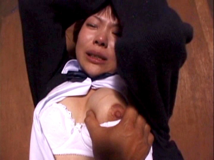 サンプル画像 14