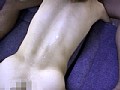 サンプル画像 7