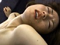 サンプル画像 8