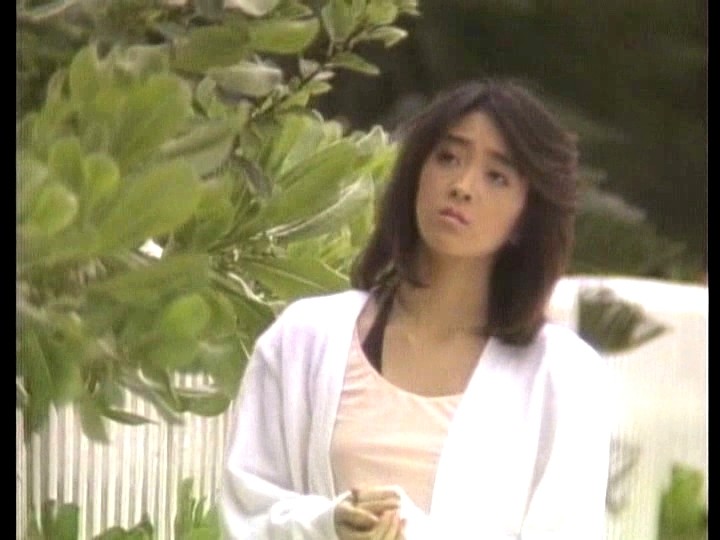 サンプル画像 13