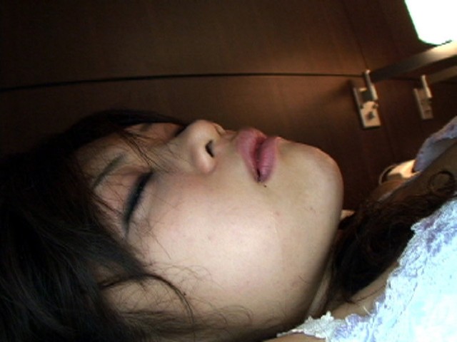 サンプル画像 3