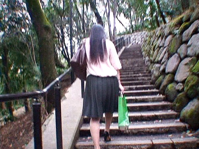 サンプル画像 10