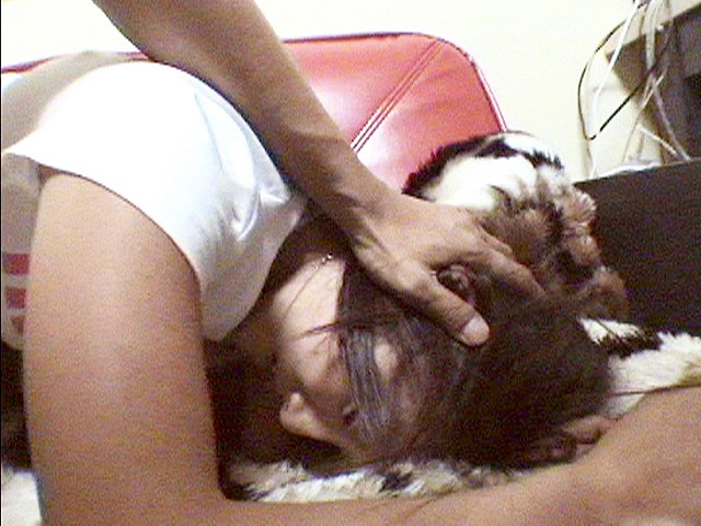 サンプル画像 9