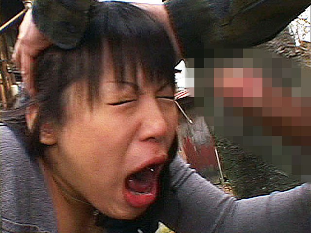 サンプル画像 8