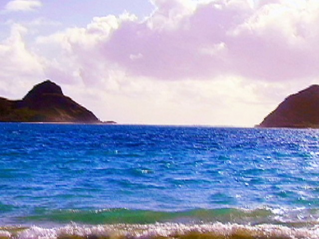 サンプル画像 2