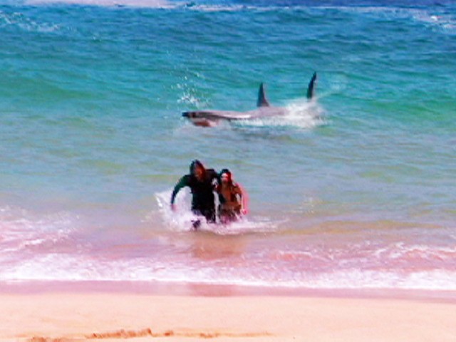 サンプル画像 12