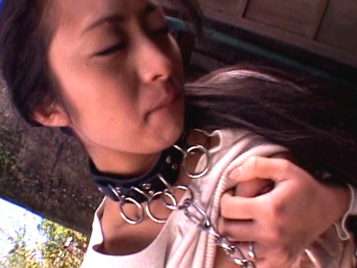 サンプル画像 8