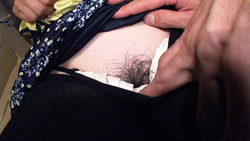 サンプル画像 8