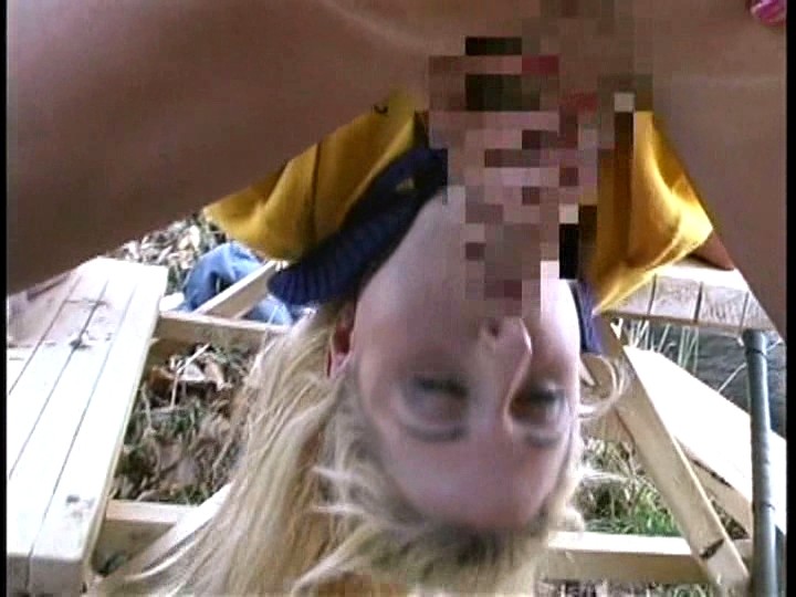 サンプル画像 11