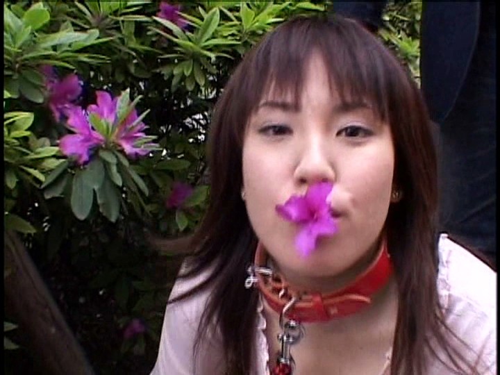 サンプル画像 9