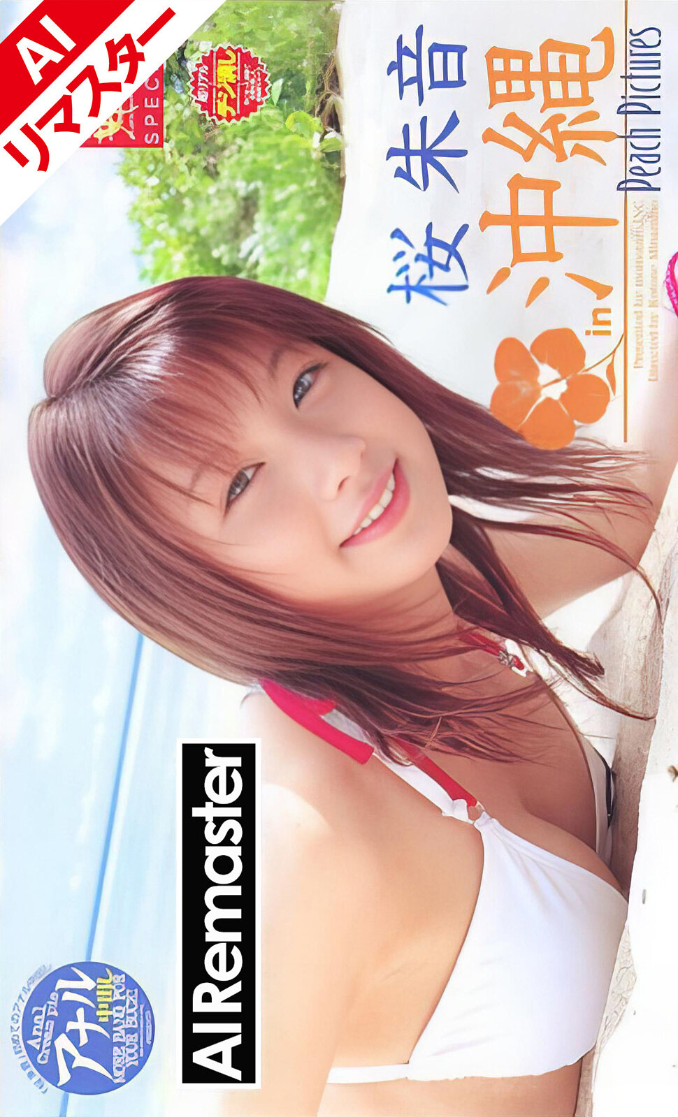 パッケージ画像