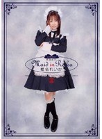 パッケージ画像