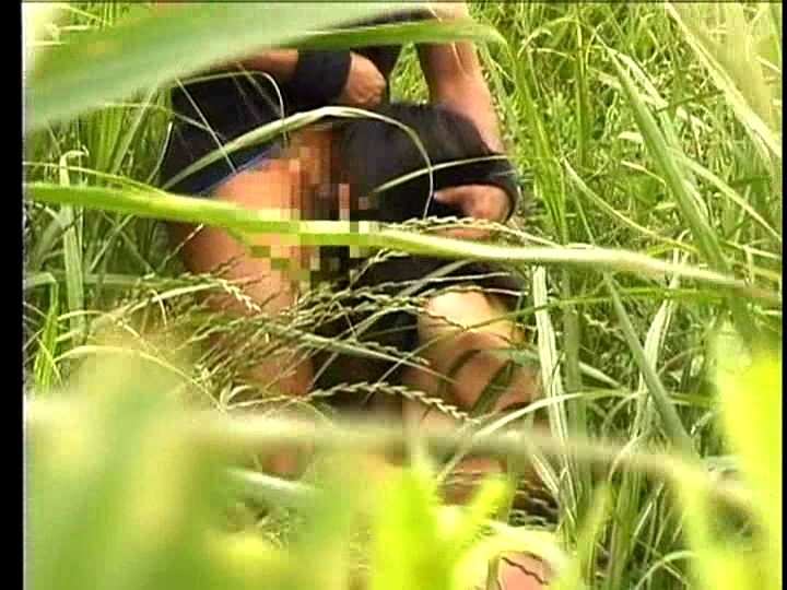 サンプル画像 8